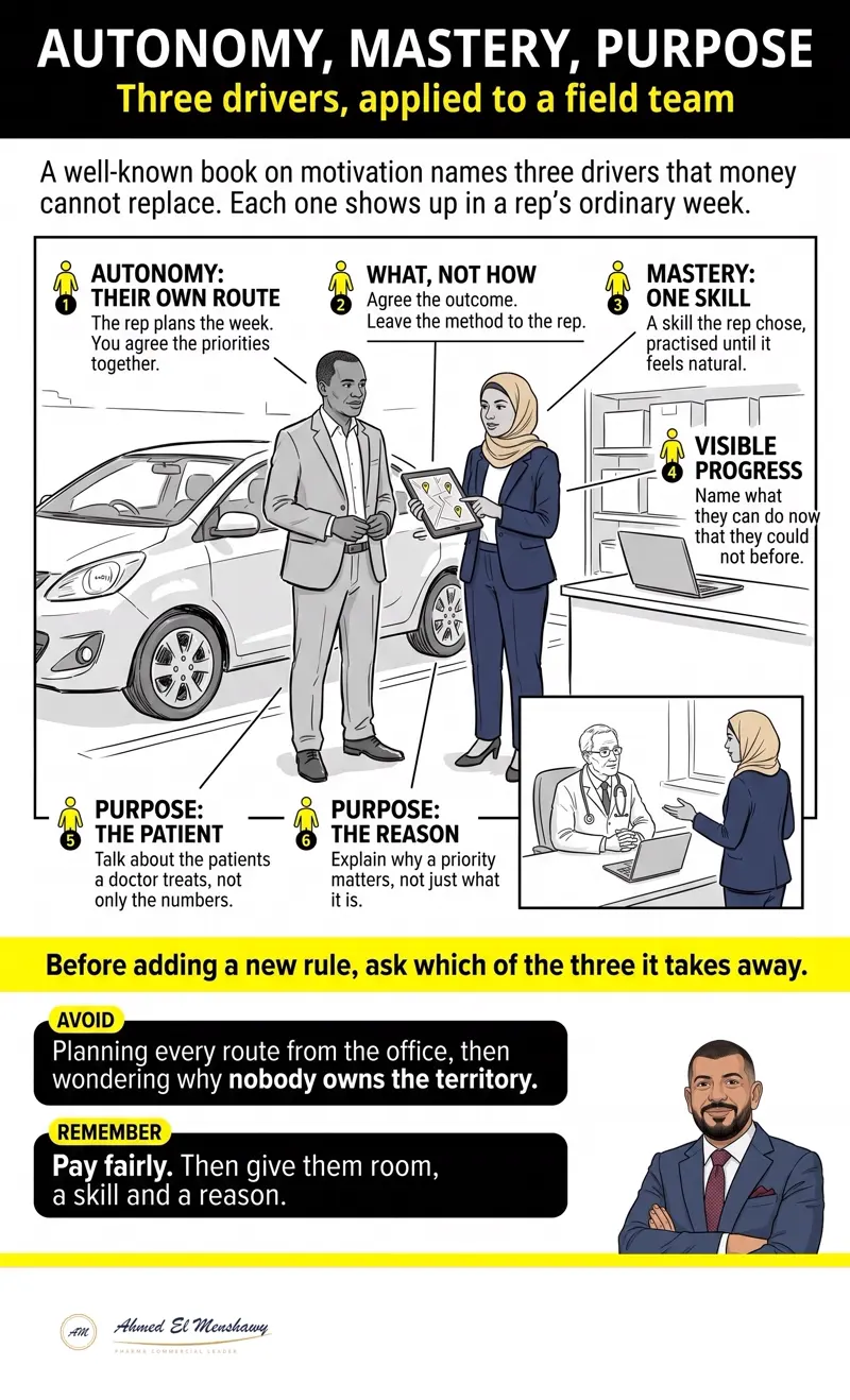 Autonomy, mastery, purpose: Three drivers, applied to a field team