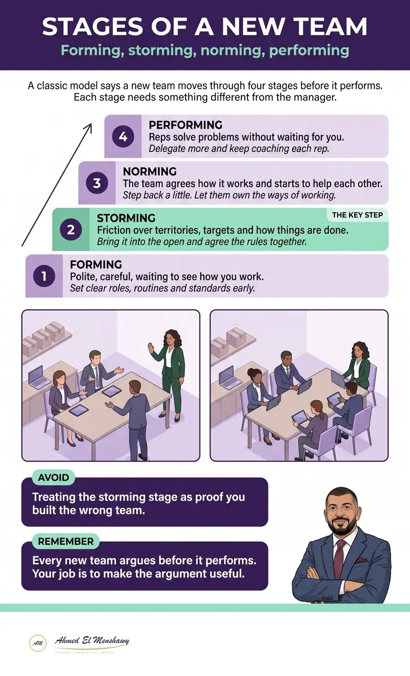 Stages of a new team: Forming, storming, norming, performing