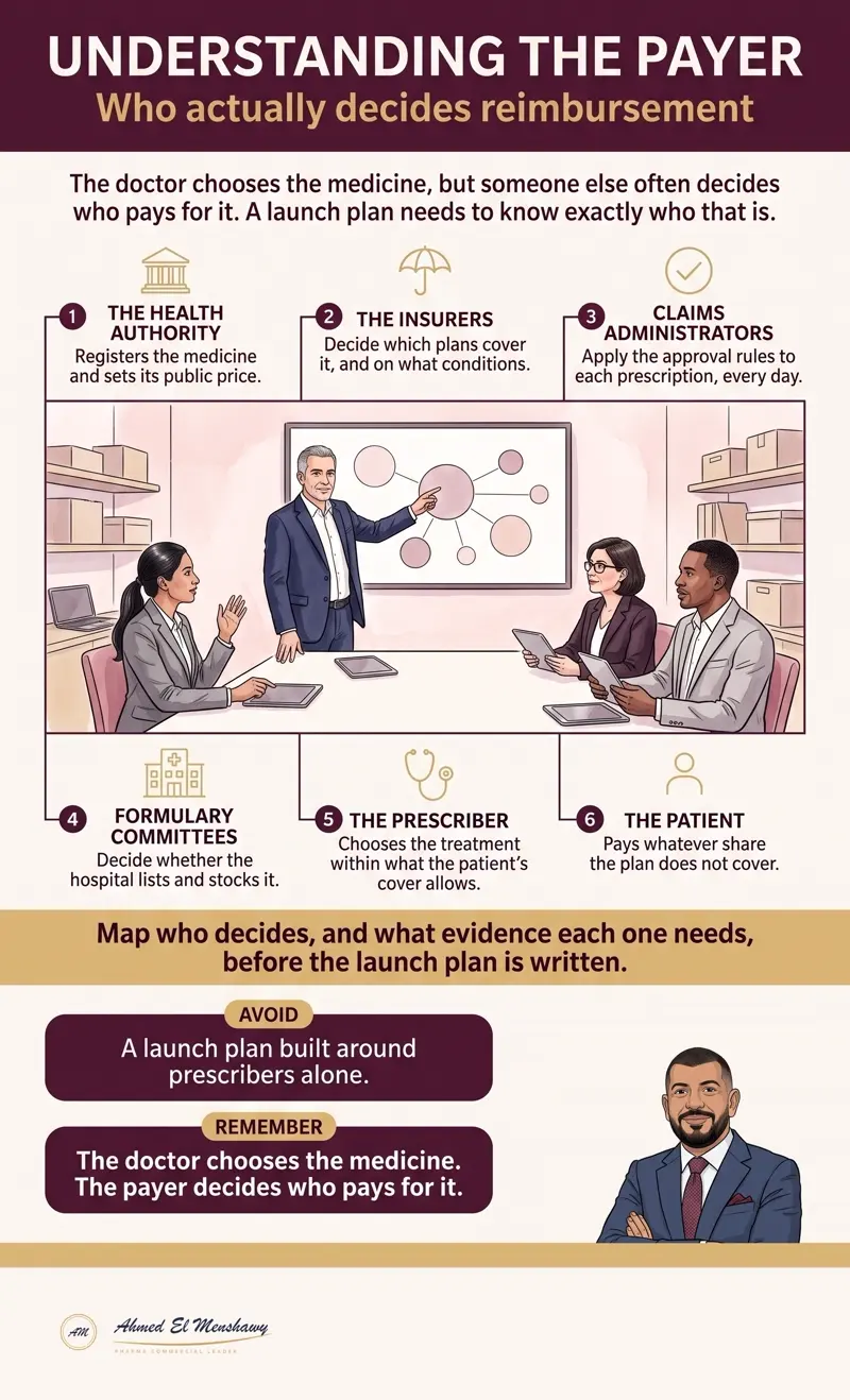 Understanding the payer: Who actually decides reimbursement